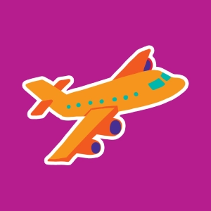 El avión