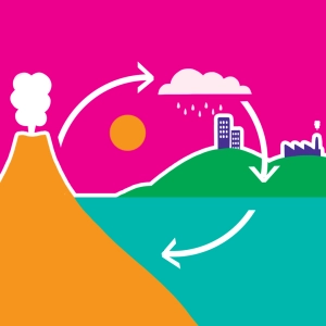 Carbon cycle