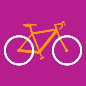 Quiz Bicicleta
