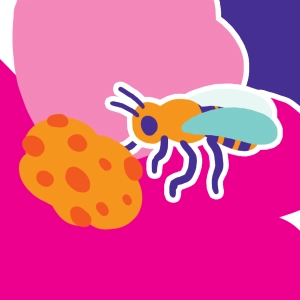 Pollination