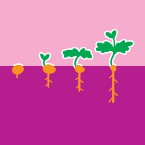 Germinación