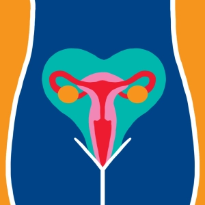 Menstruationszyklus  #2