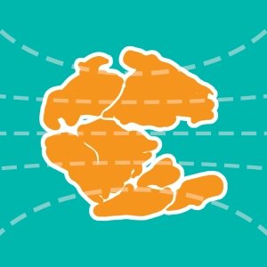 Continental drift