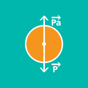 Archimede's principle