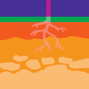 Formación del suelo