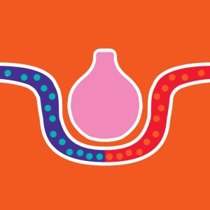 Sistema respiratorio