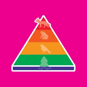 Trophic pyramid