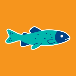 Life Cycle of a Trout