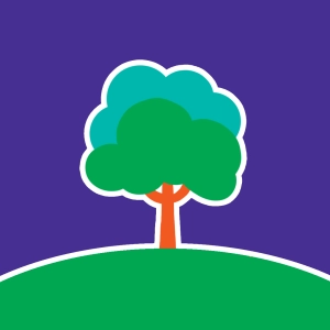 Der Baum