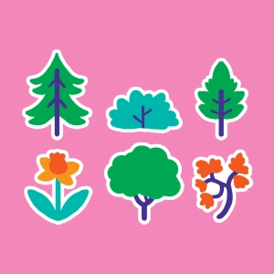 Classification des plantes