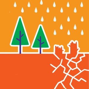 Erosión y deforestación