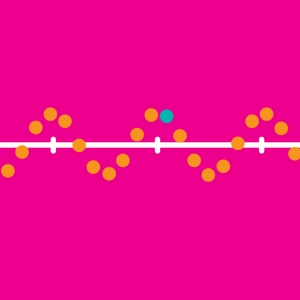 Transverse wave