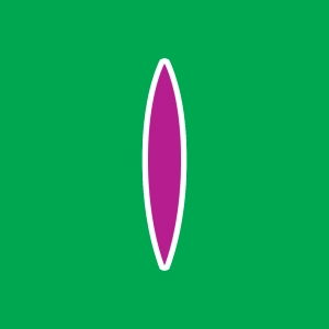 Converging lens