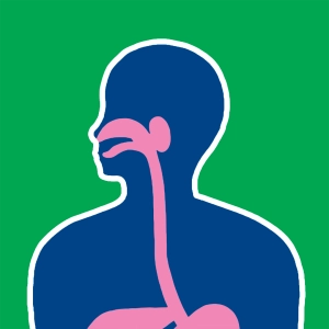 Nutrient absorption #1
