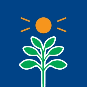 Photosynthesis