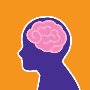 Human brain