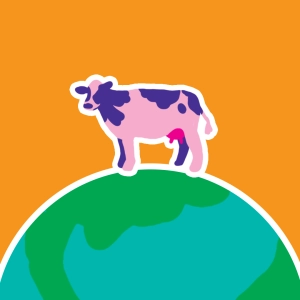 Weight / Mass on Earth