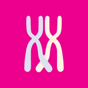 Brassage intrachromosomique (crossing-over)