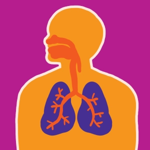 Video: Respiración pulmonar