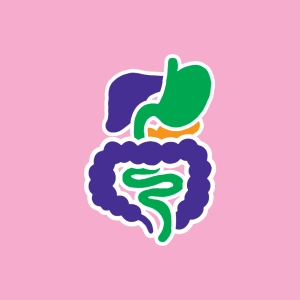 Digestion